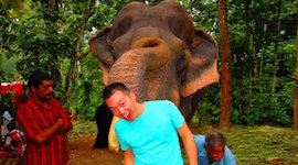 Huang poses with an elephant during his internship in India.